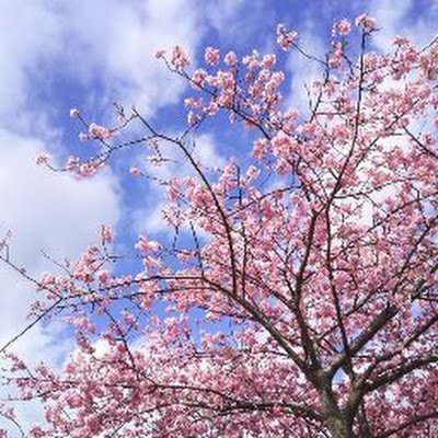 W39N0yckAze1FGy's profile picture. 