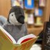 Waterstones High Holborn (@wstonesholborn) Twitter profile photo Waterstones High Holborn (@wstonesholborn) Twitter profile photo