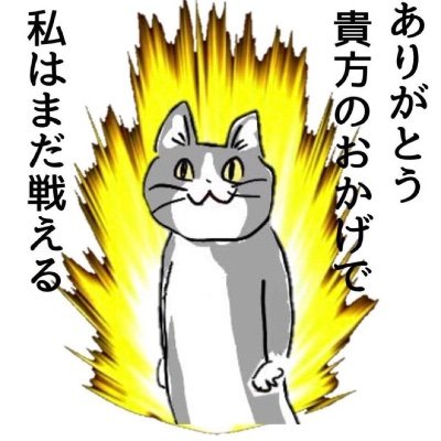 HKriasuSEEEEAAA's profile picture. 18↑ よろしくお願いします。リプ失礼します。