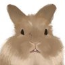 Zen_guya's profile picture. 動画制作。ウサギ好き。 youtube https://t.co/pe9gIirpfm