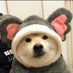 就这样吧 (@xuhuiyun3) Twitter profile photo 就这样吧 (@xuhuiyun3) Twitter profile photo