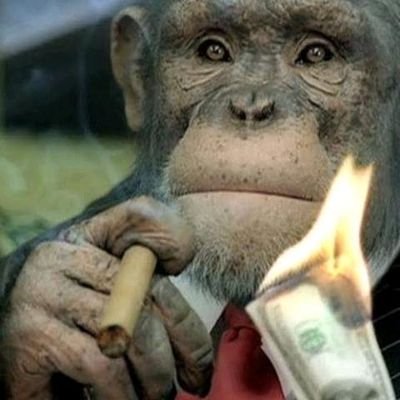 Andile99331's profile picture. #gg33
#MarketMakersNephew💹
#6LifePath
#🐒
#2+6=🎱_Excuse_Me_I_Mean_$