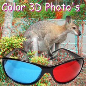 Color 3D Photo