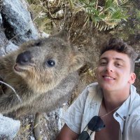Soner (@soner0sman) 's Twitter Profile
