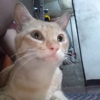Fifyhee (@fifyhee) 's Twitter Profile