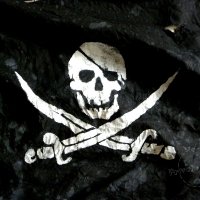 Private Dock(@Private_Dock) 's Twitter Profile Photo