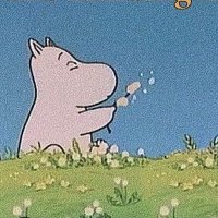 Sarah (@sarahp_196) 's Twitter Profile