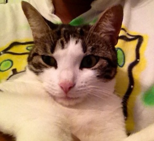 suzywong411's profile picture. 