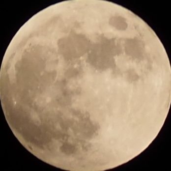 rikkarokka72's profile picture. 主なエネルギー源は市瀬秀和さん、宮野真守さん、西川貴教さん。あとマンガとアニメと音楽。時代劇と着物・和裁。市ROOMとラフピ。