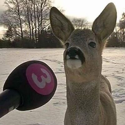 ✨ 🦌 Deer_missy 🦌 ✨ COMMISSION OPENさんのプロフィール画像