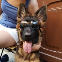 Salvo Coco (@turi_coco) 's Twitter Profile