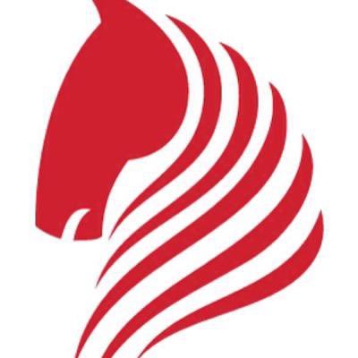 The legend of The Arsenal Horse. 42 not out. Official account.