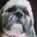 Ruby Rodriguez (@rubyrod24516647) Twitter profile photo Ruby Rodriguez (@rubyrod24516647) Twitter profile photo