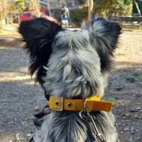 Lubenakos (@lubenakos) 's Twitter Profile