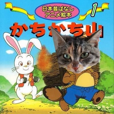 メダカ🐟睡蓮🌺草花🪴猫🐱などなど栃木県からupupしていきたいと思います🤗覗いて見て下さい👀　　　　　　　
4月～9月位の期間メダカ🐟睡蓮🌺は直売中💫詳細は          @AkraIino4 
フォロー上限です🤷　　　
 #メダカ　#睡蓮　#草花　#猫