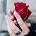 بنت الوطن 🌹 (@lryqlmk52788842) Twitter profile photo بنت الوطن 🌹 (@lryqlmk52788842) Twitter profile photo