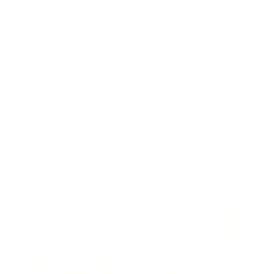 MarzoVarea's profile picture. 