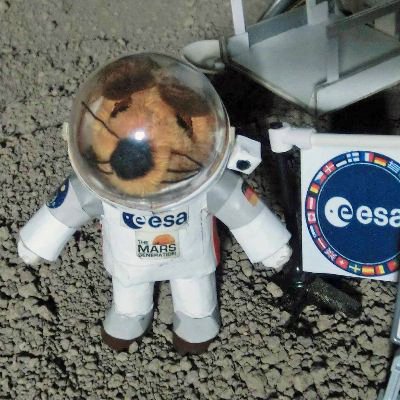 Space Mascot - veteran of 5 #MoonDot mission to @MoonDotStation & the #Moon - Now MIA on my final mission #WhereNoMouseHasGoneBefore - #STEMed #STEAM