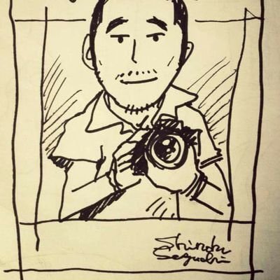 真魚（フリーのカメラマン）まおさんのプロフィール画像