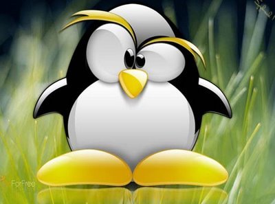 Tormented Penguin 🇨🇦🐸🐧