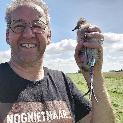 Boerenlandvogels, tureluuronderzoeker/redshankresearcher of the smartest wader, kleine zwanen, rotganzen, ringing Oystercatchers & Bt-godwits research for RUG