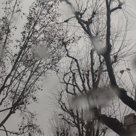 JooJosGarcia2's profile picture. 