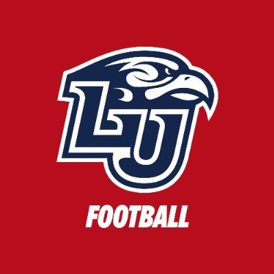 @LibertyFootball Co-Offensive Coordinator/RB Coach