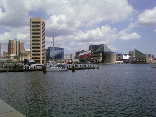 Malarkeyycp's profile picture. Go Birds 🦅