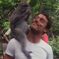 abranti (@joaoabrantis) 's Twitter Profile