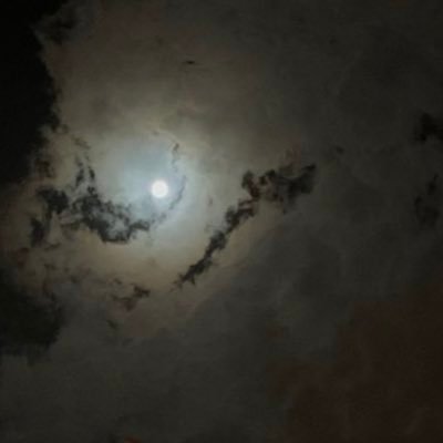 زاهيّةٌ مِثل الزَّهر عِطرُهـا بُنٌ وَ عُود 🕯 . https://t.co/9OJ2Z6Eb97