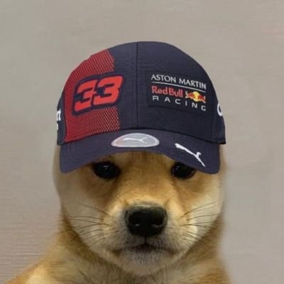 not_verstappen's profile picture. 🦁