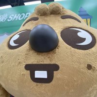 !¡ (@fth_goo) 's Twitter Profile