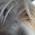 Andrea (@dogmom697) Twitter profile photo Andrea (@dogmom697) Twitter profile photo