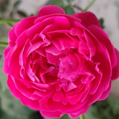 KottesrinivasK's profile picture. TS RTC