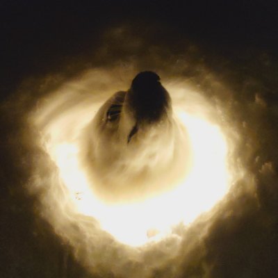 6ta3EBfyFOwfHgh's profile picture. 咸鱼一条。