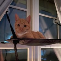 Gmom2006 (@gmom200616) 's Twitter Profile Photo