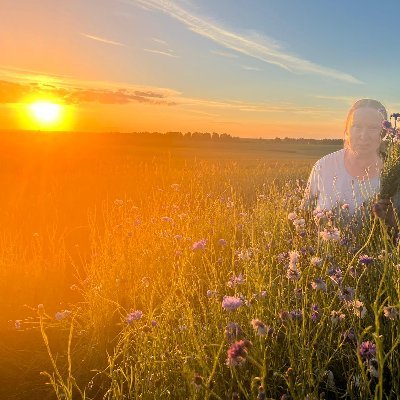 dainabaikova's profile picture. 