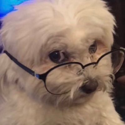 DAVIDM_'s profile picture. New FBA seller on Amazon and Newbie Day Trader