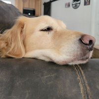 Robert Doody (@robertdoody6) 's Twitter Profile