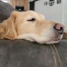 RobertDoody6's profile picture. 