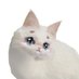 ʀᴏsᴇʟʏɴ (@samoyek09) Twitter profile photo ʀᴏsᴇʟʏɴ (@samoyek09) Twitter profile photo