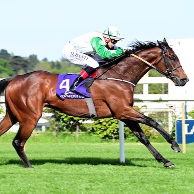 Irelands’ leading racehorse syndicate | Managing Director Stephen Thorne | ENQ ➡️ stephen@shamrockthoroughbreds.com 🇮🇪🍀