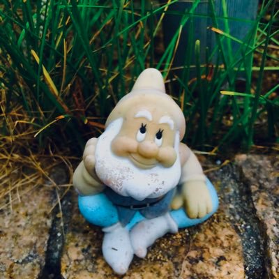 daiki_m1126's profile picture. 男女問わずアイドルが好き。坂道シリーズが好き。櫻坂46箱推し。スタエンのアイドル好き。普通のJ-POPも好き。他には映画、ドラマ、アニメが好き。それとポケモン。戦隊と仮面ライダーとウルトラマンも。