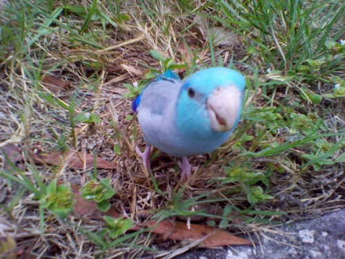 FreewaySouth7's profile picture. 