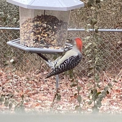 Karen77838220's profile picture. 