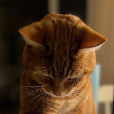 aigraphics1's profile picture. 