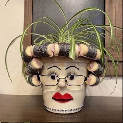 tojaci1202's profile picture. 