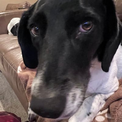 JTaylor1805085's profile picture. 