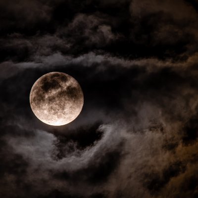 STAND IN MY GRAVE
Claymore Award Finalist 2022 & 2023 🧟♀️💀👻
#writer #horror #writingcommunity
@ChristineBirchwood@writing.exchange