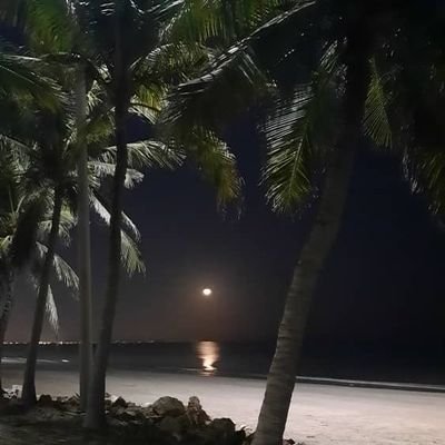 nazi_la79's profile picture. زنِ تنهایِ شب  ،بعد از چهل سالگی